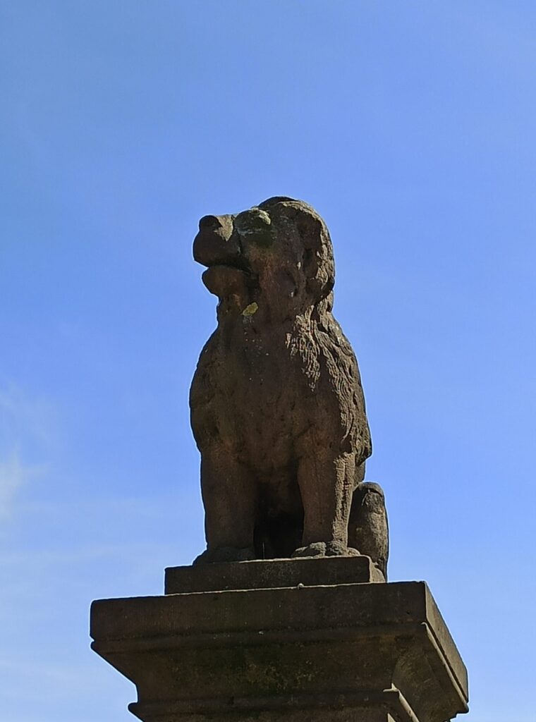Osnabrücker Löwenpudel